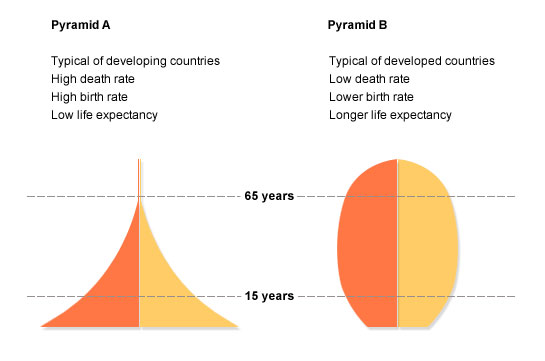 Life Expectancy Discrepancies Outcomes And Future Directions Princeton Public Health Review