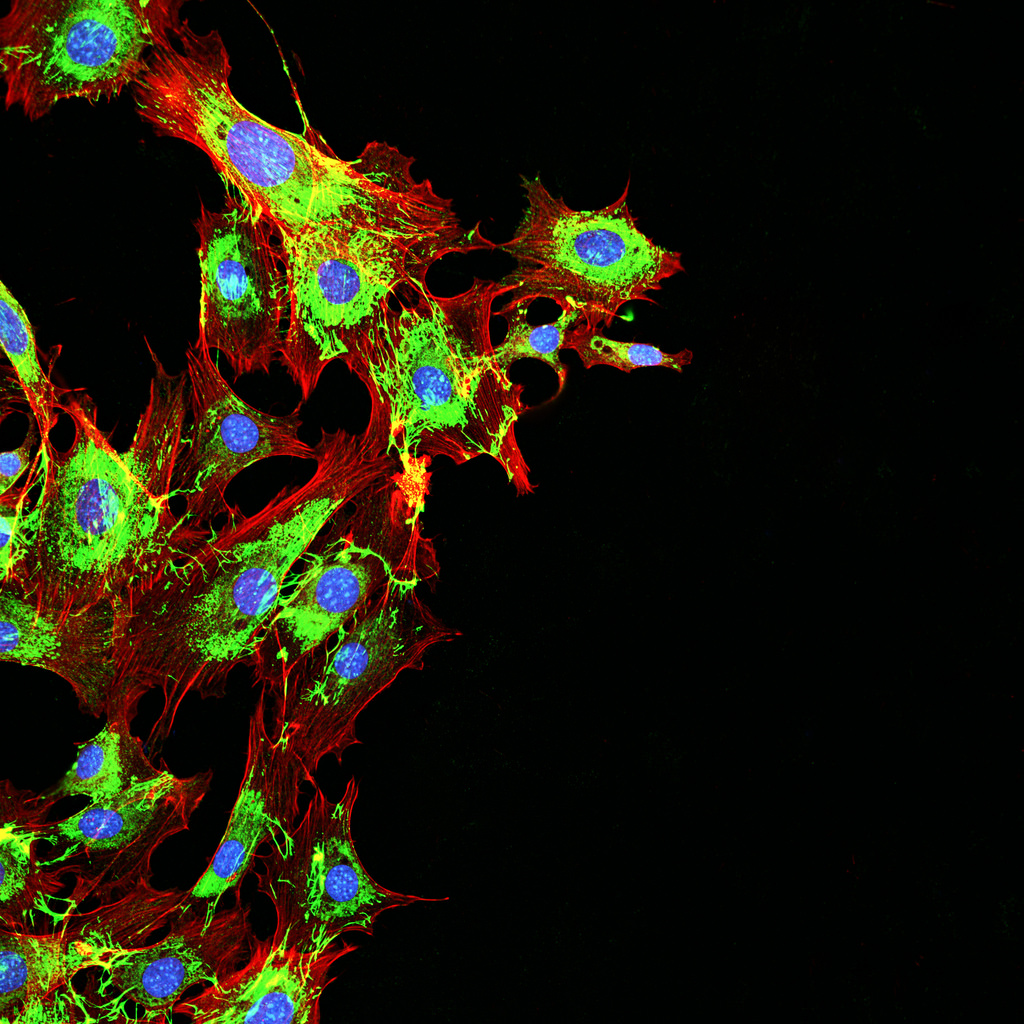 UV Light: A New Tool for Disease Prevention