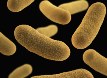 Using Microorganisms to Fight a Macro-level Problem